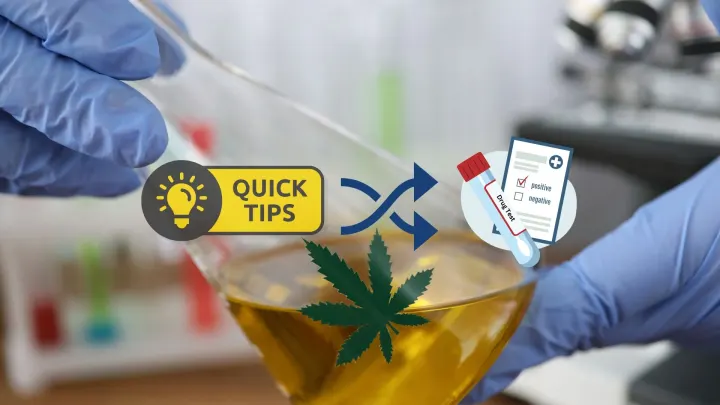 6 Tips to Prepare for a Drug and Alcohol Test