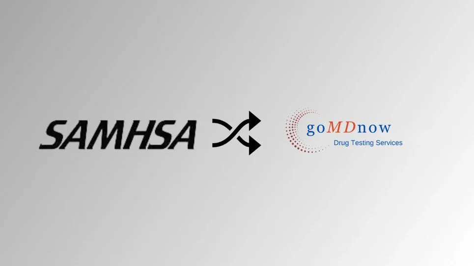 Why Choosing a SAMHSA-Certified Lab Matters for Accurate and Compliant Drug Testing