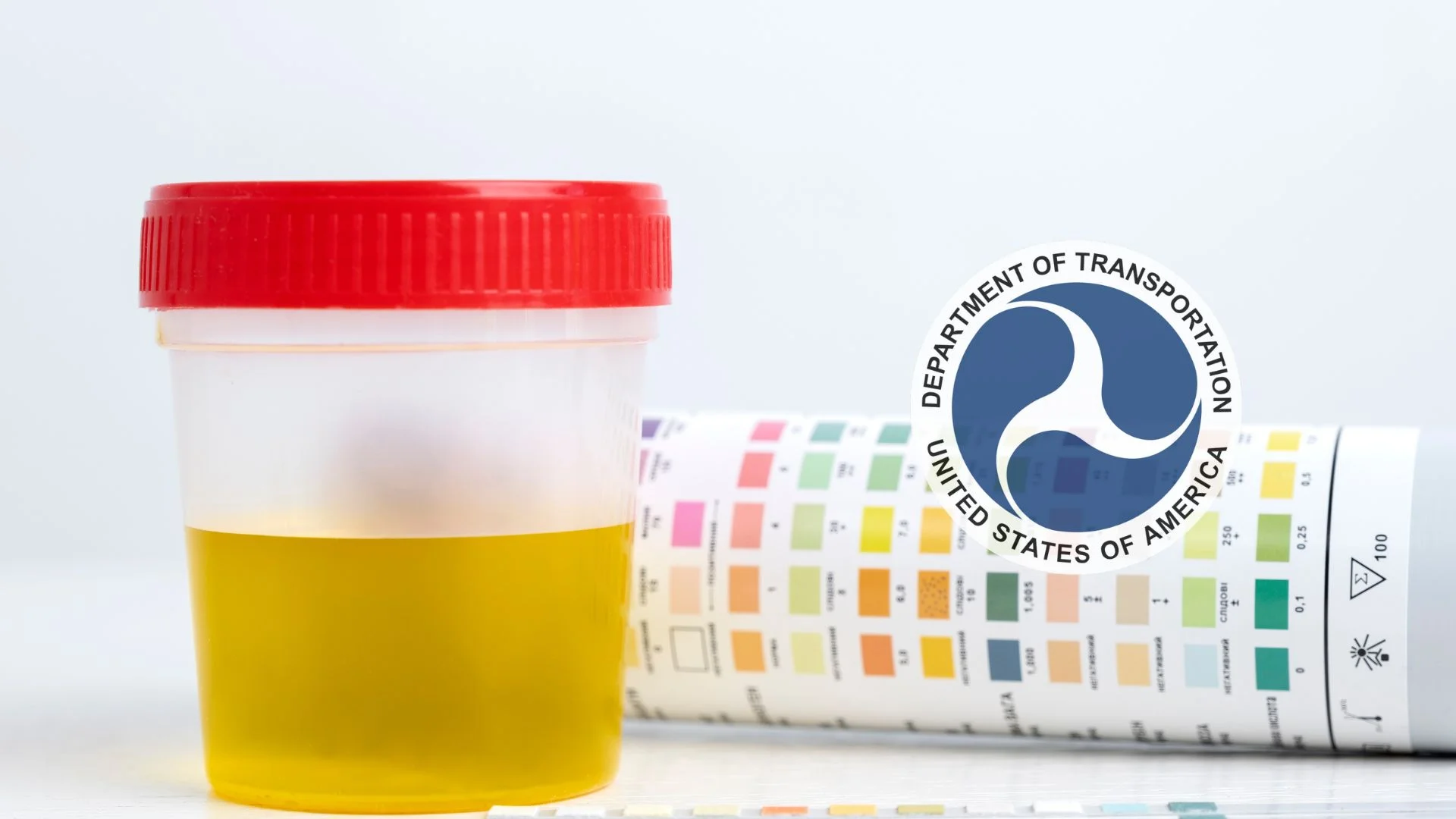 What is the difference between DOT/Non-DOT Drug Testing?