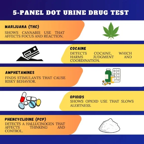 5-Panel DOT Urine Test Screens For