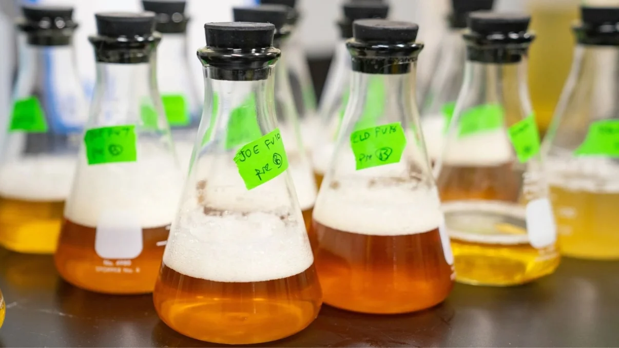 Understanding Full-Service Urine Drug Testing: Compliance, Procedures & Best Practices for DOT-Regulated Workplaces