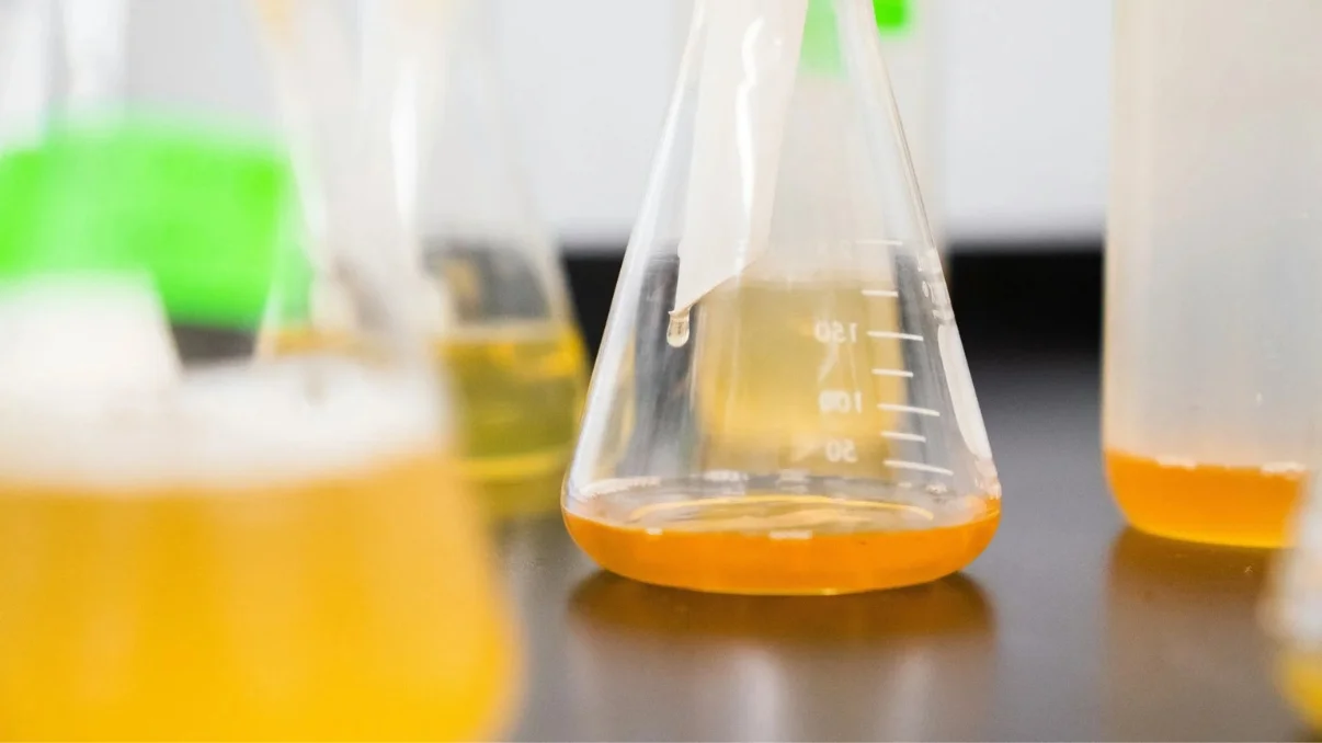 Most Innovative Things Happening with Urine Drug Test