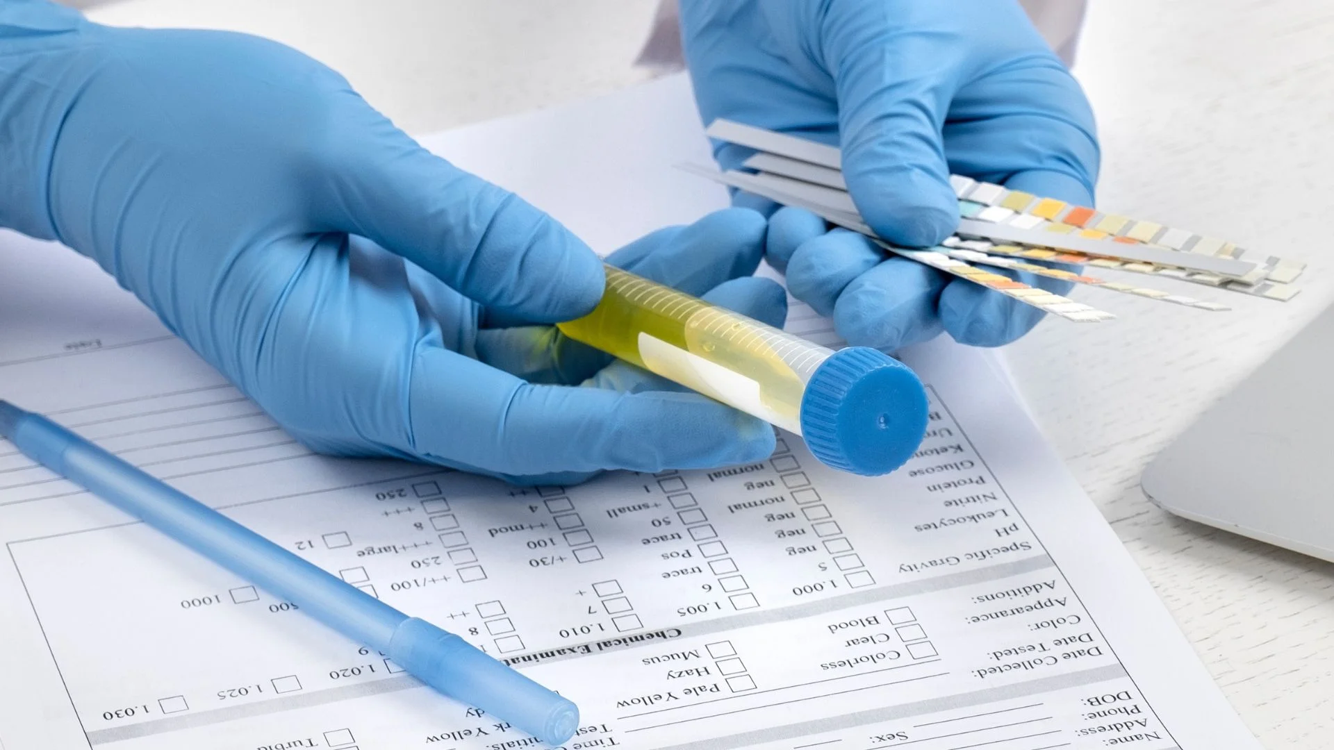 How to Interpret DOT Drug Test Results: Cutoff Levels, MRO Review & Compliance Guide