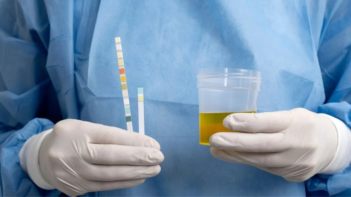 Pre-Employment Drug Testing: Complete Guide with Frequently Asked Questions