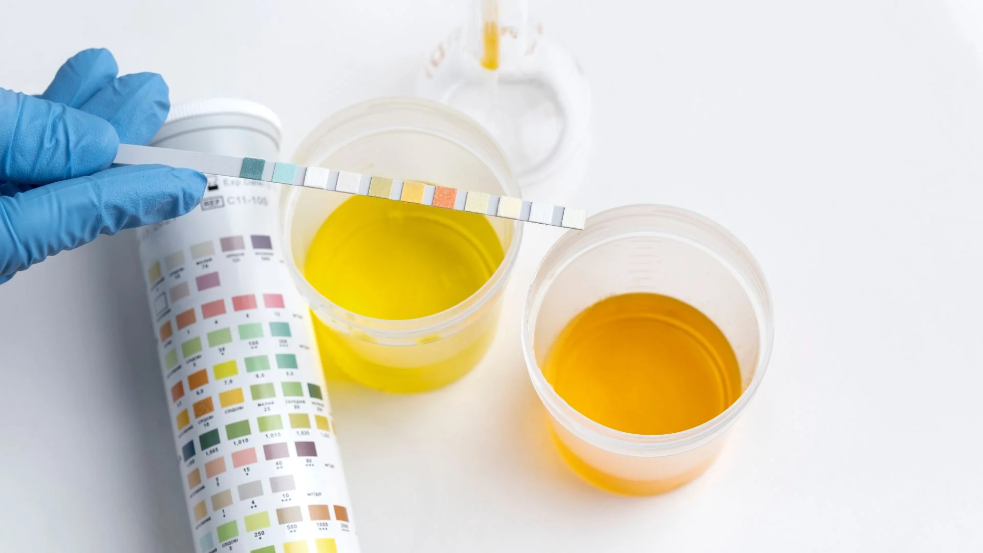 Can Synthetic Urine (Fake Urine) Be Detected in a Drug Test? DOT Rules, Lab Methods & Consequences